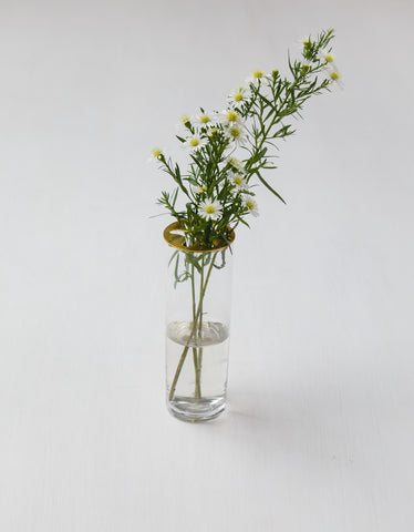 https://www.wolveswithin.com/cdn/shop/products/Brass___Glass_Flower_Vase_Home_of_the_Brave_Wolves_Within_0_large.jpg?v=1526929335