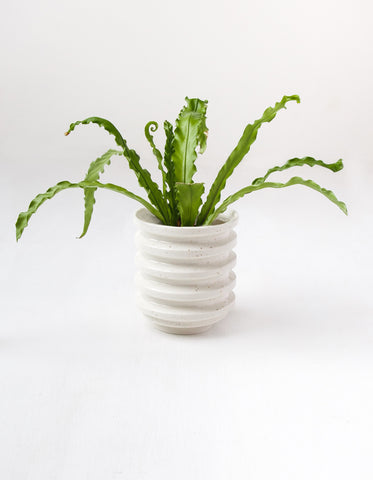https://www.wolveswithin.com/cdn/shop/products/Speckled_Cream_Ribbed_Layer_Planter_Home_of_the_Brave_Wolves_Within_01_large.jpg?v=1542145727